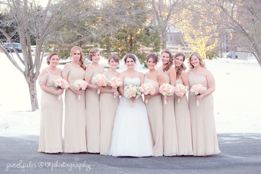 Bride and her Bridesmaids